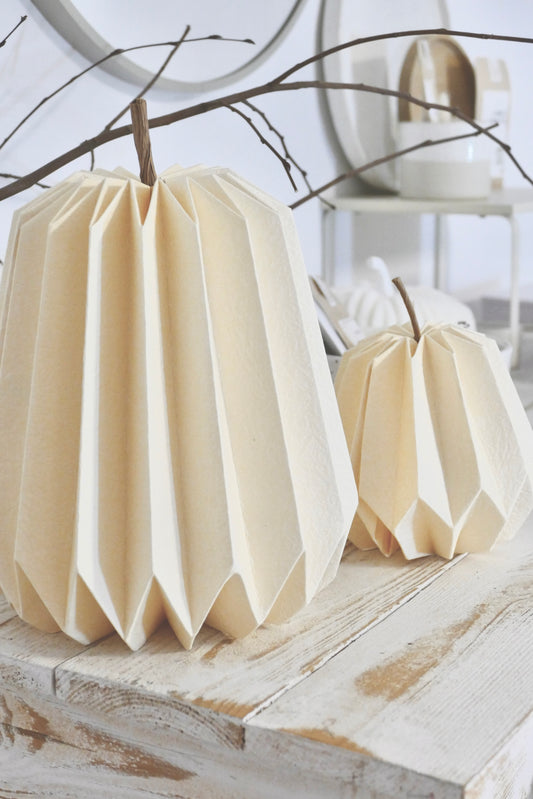 Falt-Kürbis in beige