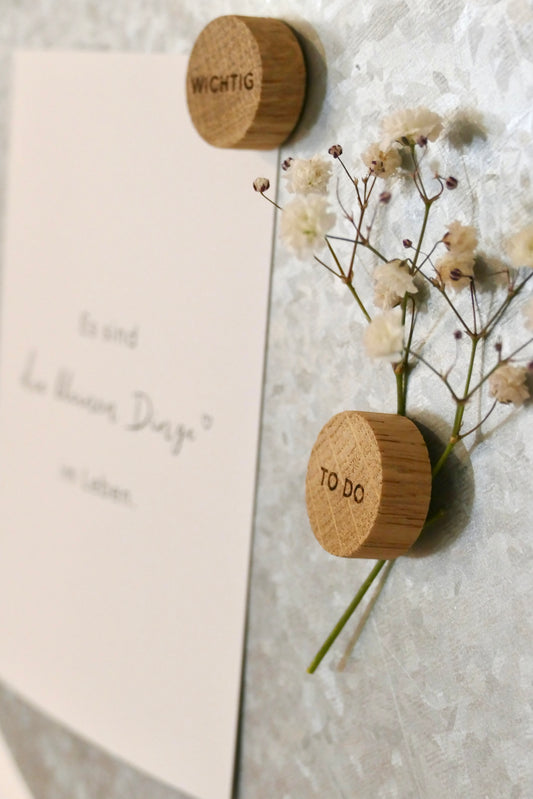 Eulenschnitt Magnettafel mit verschiedenen Magneten