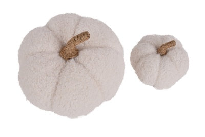 Kürbis Teddy